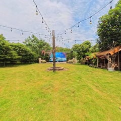 이벤트 잔디밭