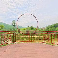 관람 구역