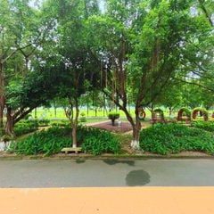View ban công