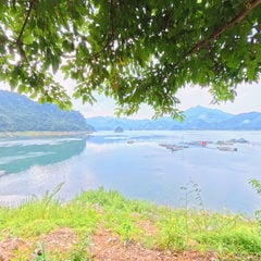 Khu vực check-in, ngắm cảnh hồ