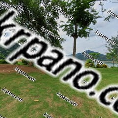 ガーデンエリアでは屋外アクティビティを企画しています