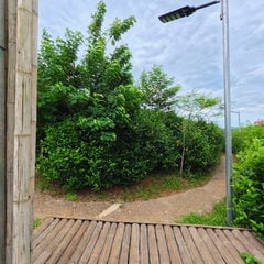 Khu vườn hoa ngắm cảnh
